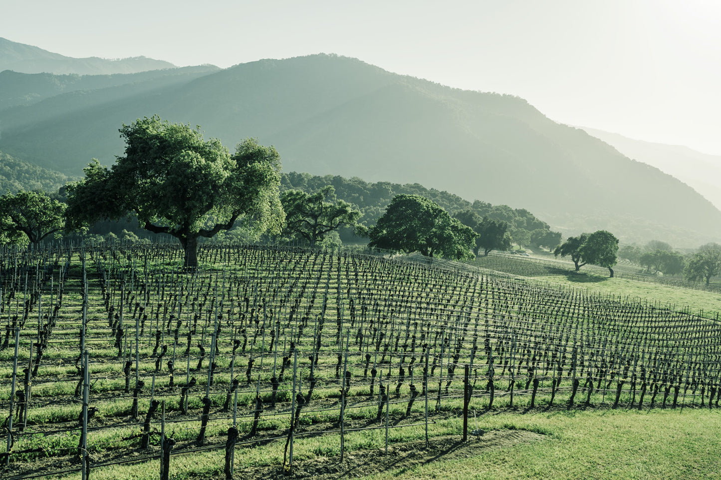 Bernardus Experience Box